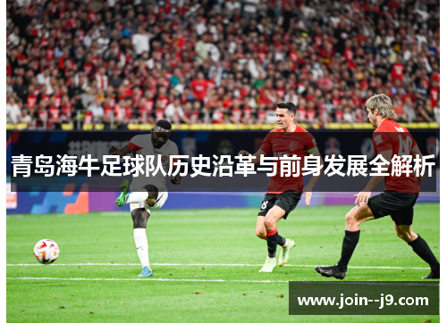 青岛海牛足球队历史沿革与前身发展全解析 青岛海牛足球队历史沿革与前身发展全解析