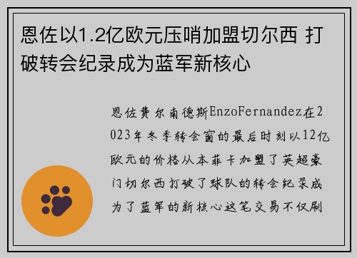 恩佐以1.2亿欧元压哨加盟切尔西 打破转会纪录成为蓝军新核心